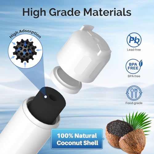 ADQ36006101 9690 Water Filter Replacement for LG LT700P (2 Count)
