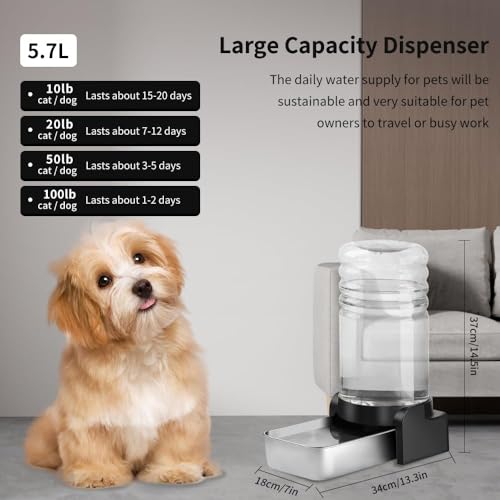 1.5 Gallon Cat Water Dispenser