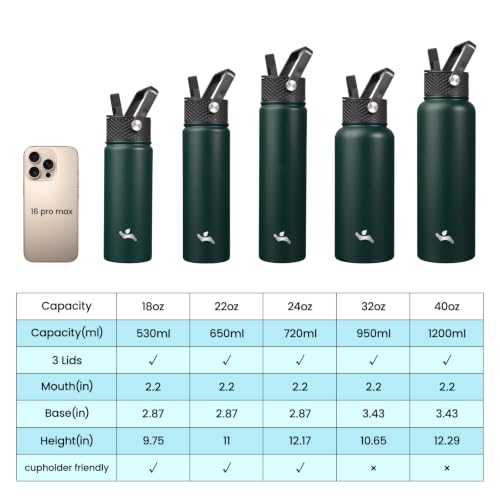 18 oz Insulated Stainless Steel Water Bottle with Straw Lid
