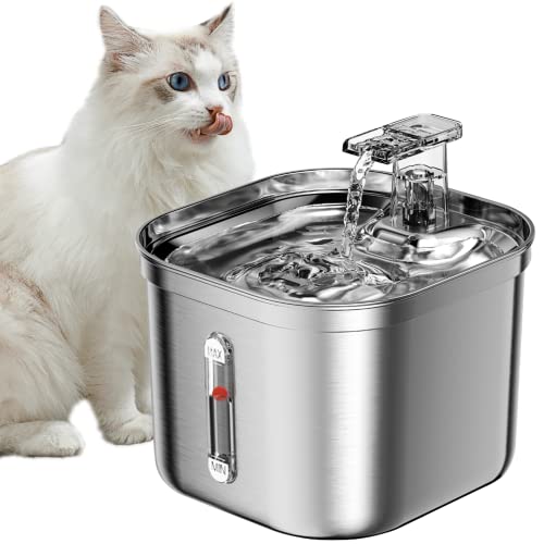Cat Water Fountain