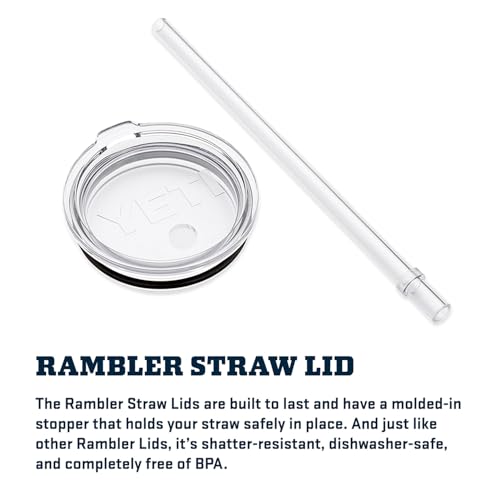 Rambler 25 oz Tumbler with Handle and Straw Lid