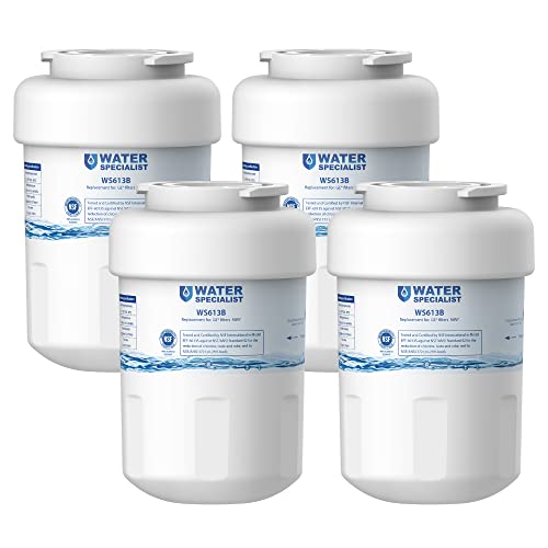 WS613B Water Filter (4 Count)