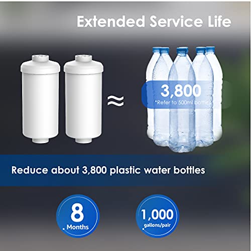Gravity Water Filter (2 Count)