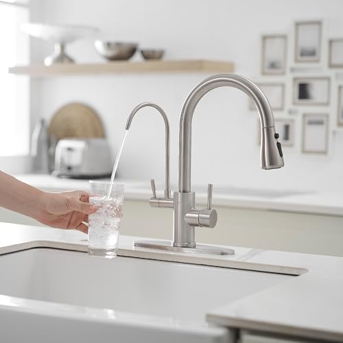 Kitchen Faucets with Water Filter and Pull Down Sprayer