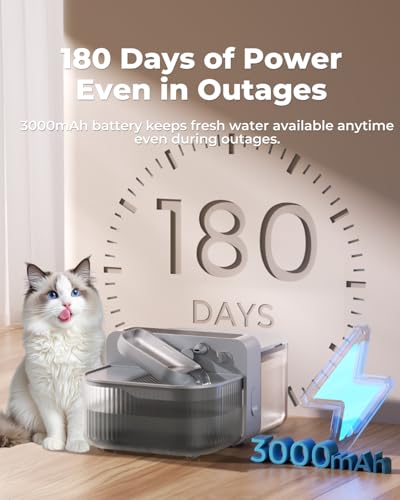 No Filter Wireless Cat Water Fountain