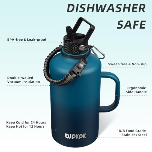 87oz Insulated Water Bottle with Straw Lid Stainless Steel Water Jug