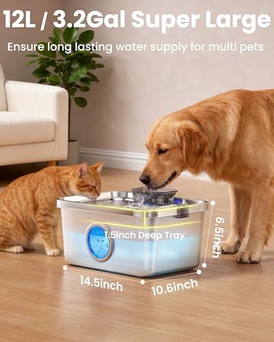 12L 3.2Gal Dog Water Fountain Elevated
