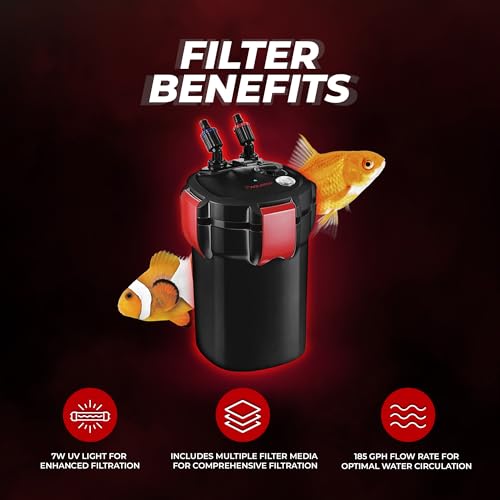Forza 3 Canister Filter