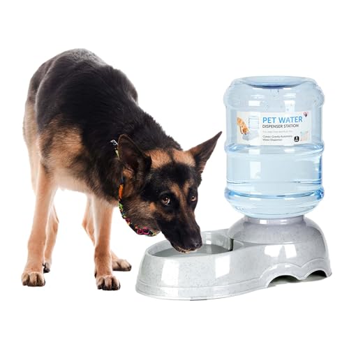 3 Gallon Dog Water Dispenser for Large Dogs