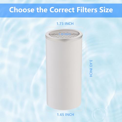 Rain Shower Head with Filter and Handheld