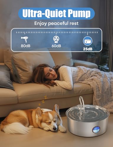 Dog Water Fountain for Large Dogs