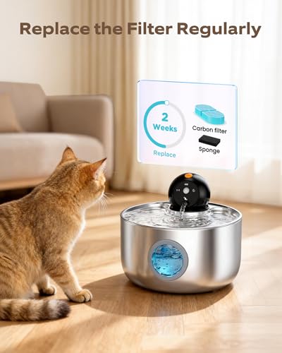 Cat Water Fountain Filter