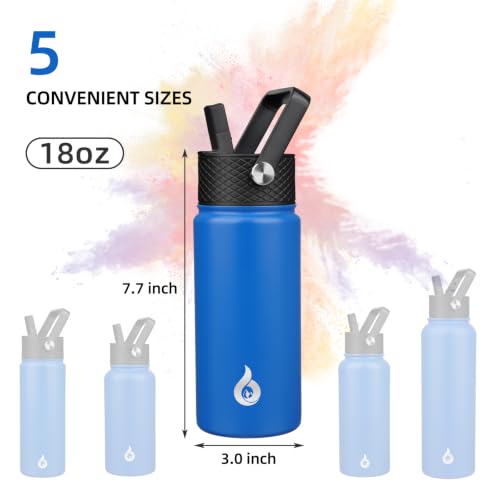 18oz Insulated Water Bottle with Straw Lid
