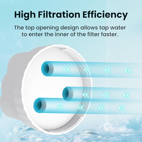 Replacement for EPIC Water Filter Pitcher (2 Count)