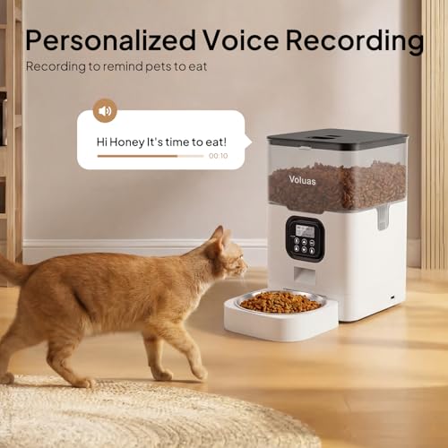 Automatic Cat Feeder