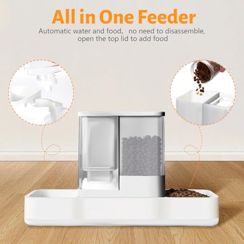 Automatic Small Pet Feeder and Water Dispenser