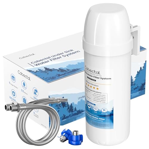 Under Sink Water Filter System