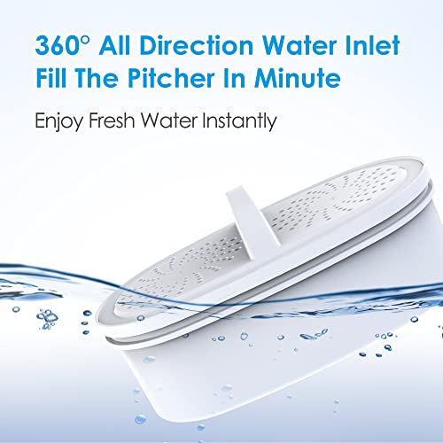 PT 61B Water Filter Pitcher