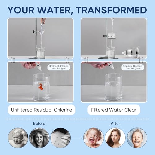Filtered Shower Head