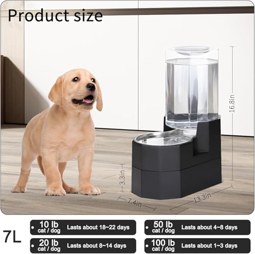 7L Raised Dog Water Dispenser
