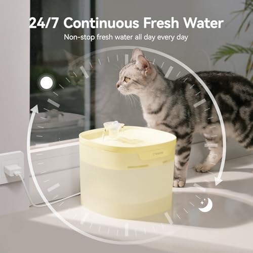 Pumpless Cat Water Fountain