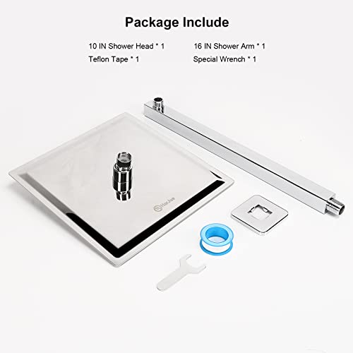 Shower Head with Extension Arm