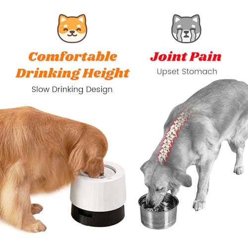 Raised 95oz Slow Drinking Dog Water Bowl No Spill Medium Large Breed