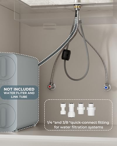 Kitchen Faucet with Purified Water