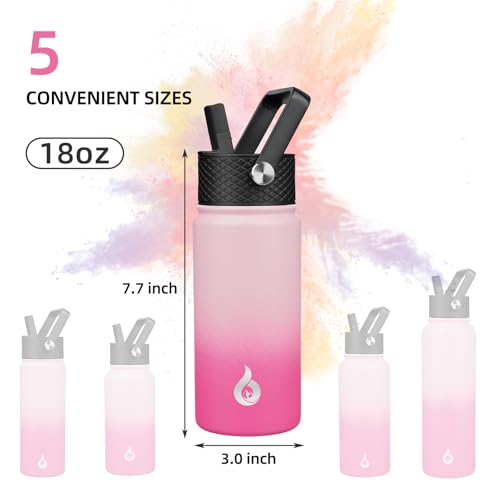 18oz Insulated Water Bottle with Straw Lid