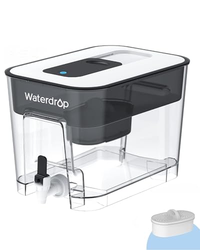 WFD 22L Large Water Filter Dispenser