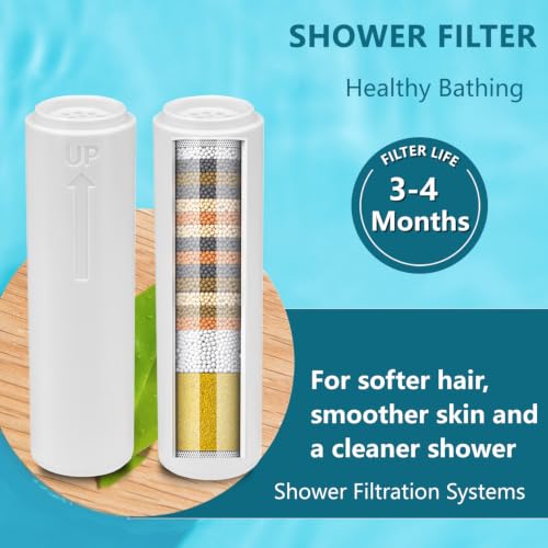 Water Filter Compatible with INAVAMZ (2 Count)