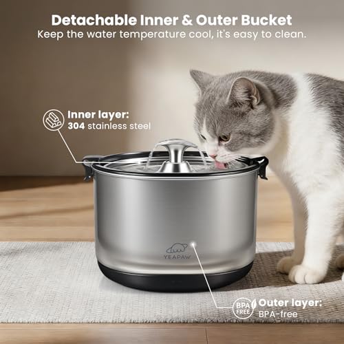 Cat Water Fountain All
