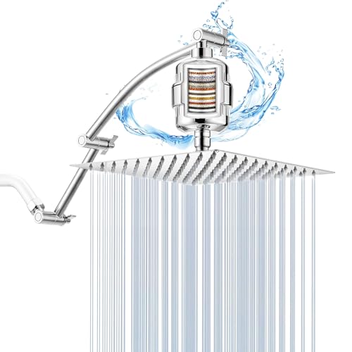 2 Inch Rain Shower Head with 16 Inch Extension Arm for Hard Water