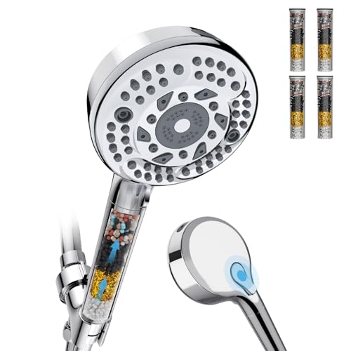 Filtered Shower Head with Handheld