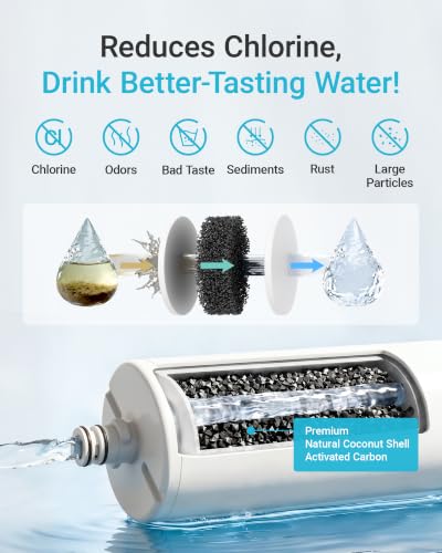 DW80 90 Water Filter Replacement for Aqua (2 Count)
