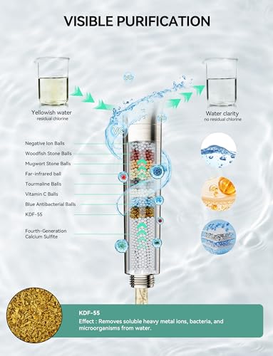 Shower Head with Handheld