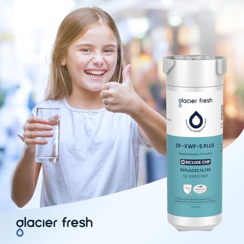 XWFE (Built-in CHIP) Refrigerator Water Filter Pack of 2 (2 Count)