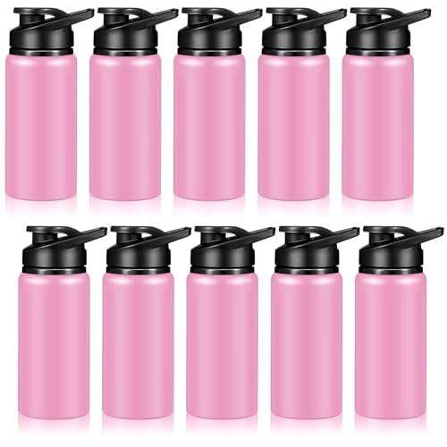 10 Pack Aluminum Water Bottles Bulk 17oz (10 Count)