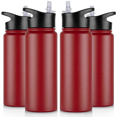 24 oz Insulated Water Bottle Bulk 4 Pack (4 Count)
