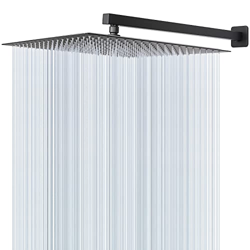 Shower Head with Extension Arm