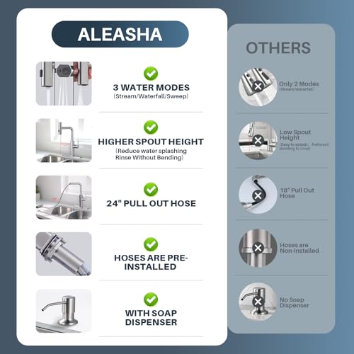 Kitchen Faucet with Pull Down Sprayer