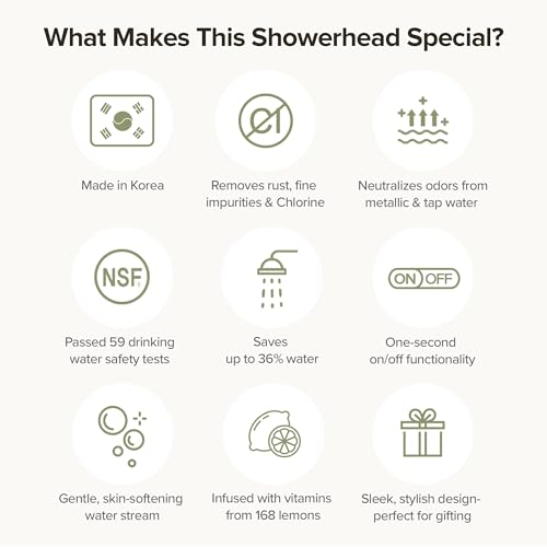 Filtered Handheld Shower Head with Vitamin C (16 Ounce)