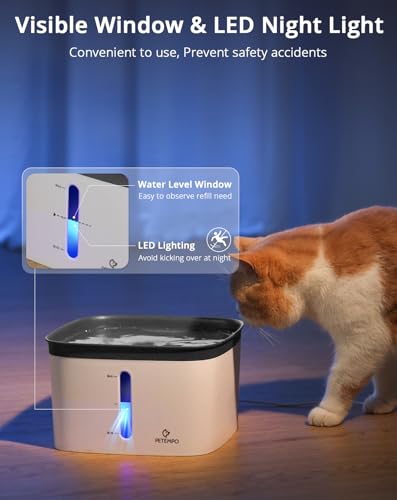 Cat Water Fountain