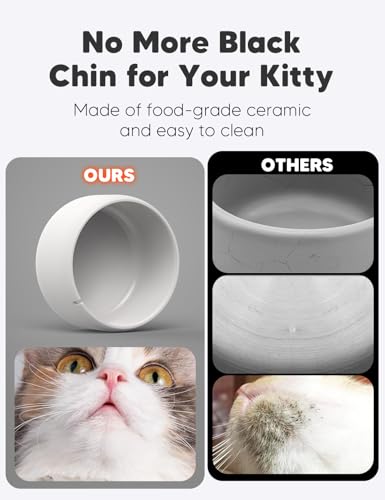 Premium Ceramic Cat Water Fountain W03 Lite