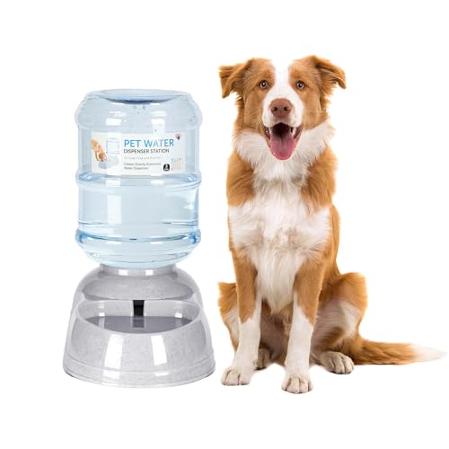 3 Gallon Dog Water Dispenser for Large Dogs
