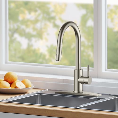 Kitchen Faucet with Pull Down Sprayer