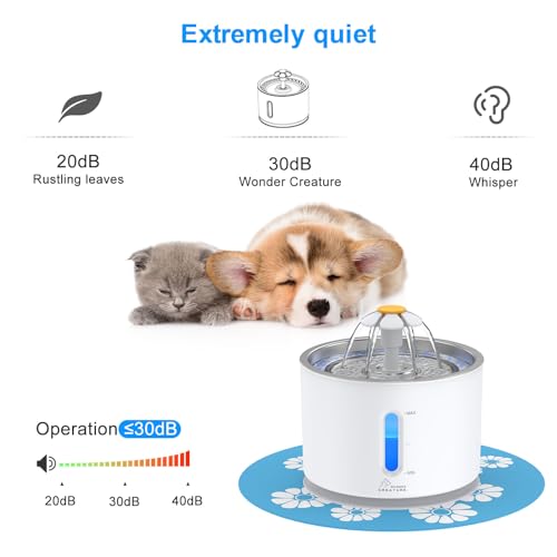 Cat Water Fountain Stainless Steel Lid 81oz