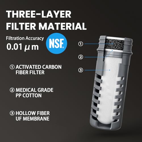 Water Filter Survival