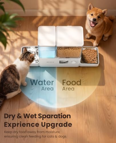 Automatic Cat Feeder & Water Dispenser
