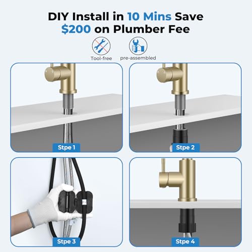 Kitchen Faucet with Pull Down Sprayer